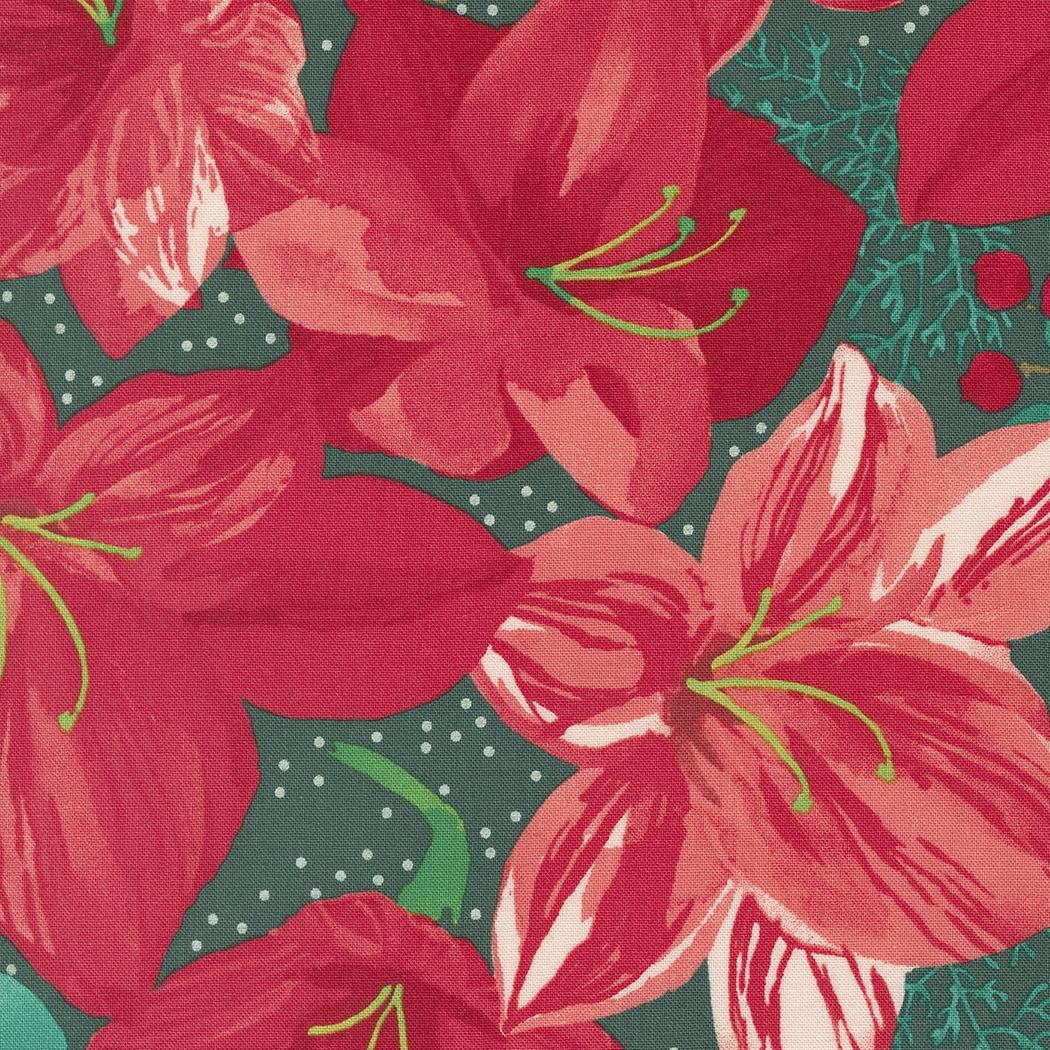 christmas lily flower Winterly