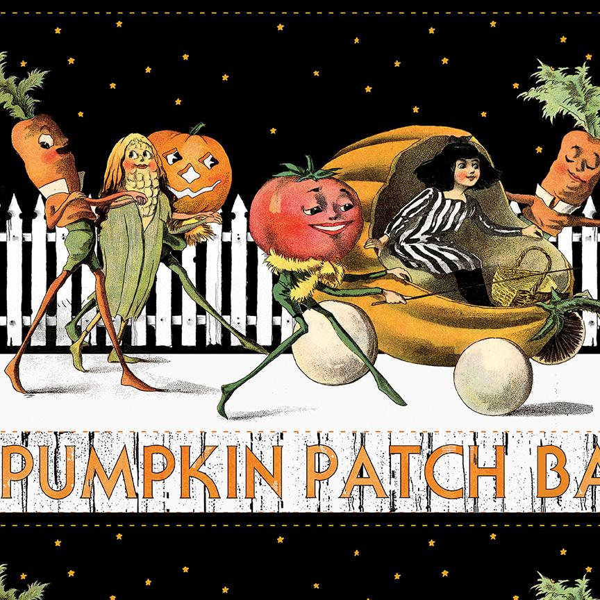 Pumpkin Patch - Barn Dance Border Stripe White CD14573-WHITE