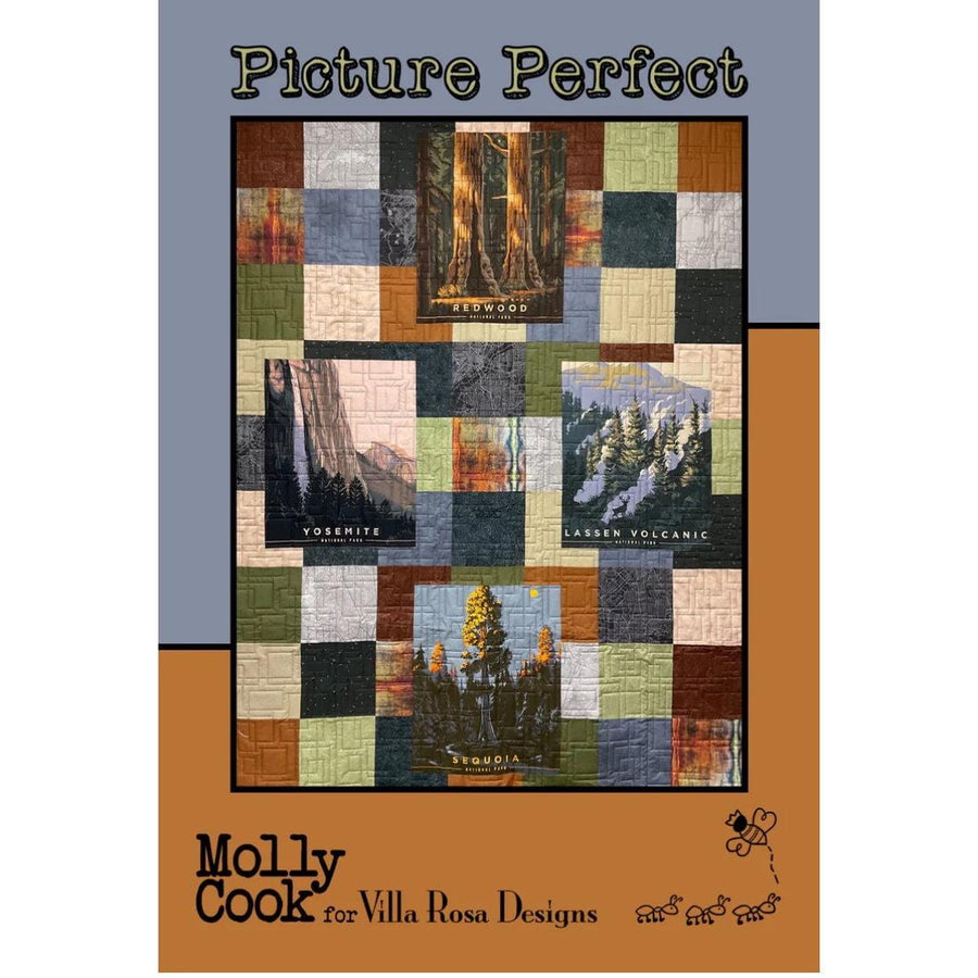 Molly Cook for Villa Rosa Designs - Picture Perfect Quilt Pattern 609670632223