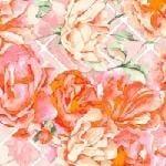 Between Friends - Rambling Rose - Blush Windham Fabrics 