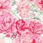 Between Friends - Rambling Rose - White Windham Fabrics 