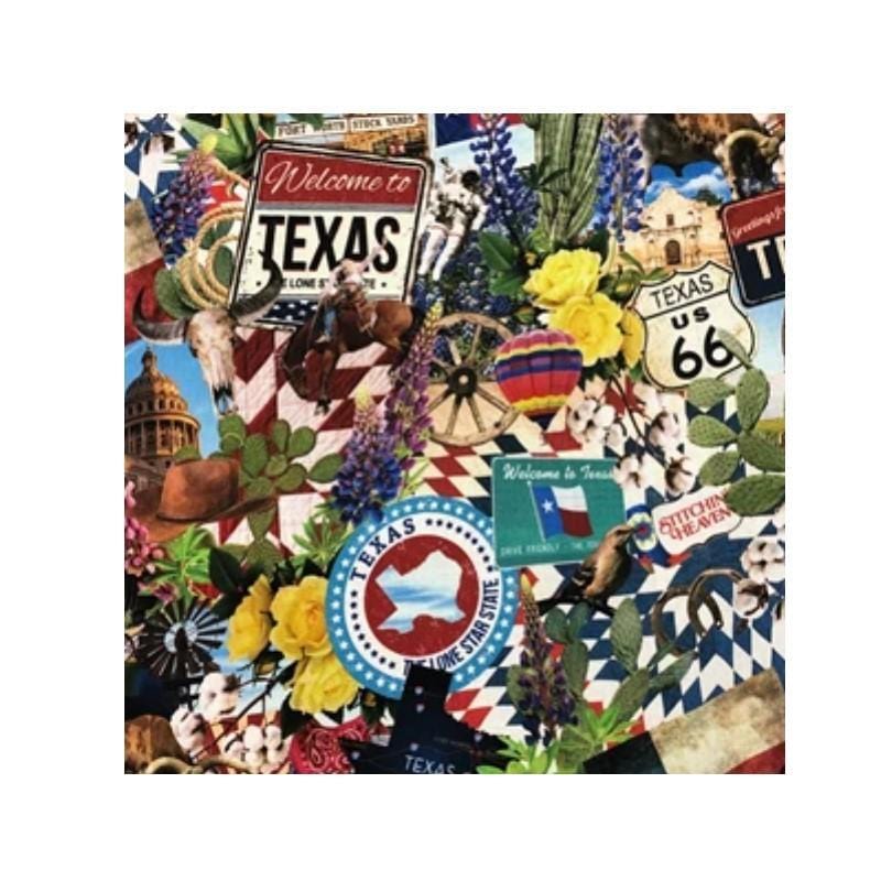 Stitchin' Heaven Texas our Texas - Large Print In the Beginning Fabrics 