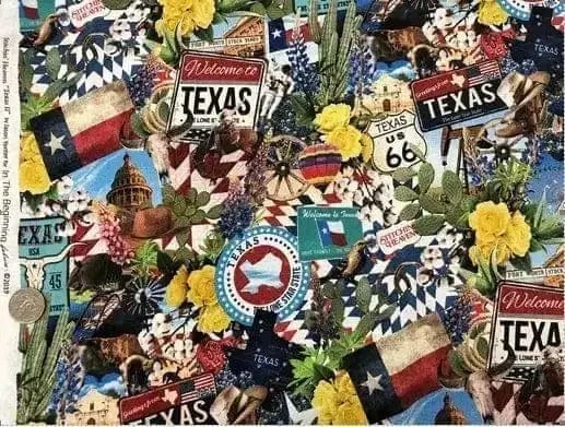 Texas Our Texas II  Fabric In the Beginning Fabrics 