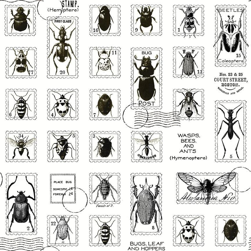 Art Journal - Bug Post White CD13036-WHITE