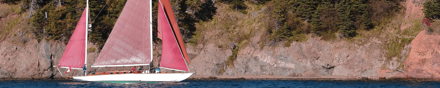 Previous Trips Stitchin Heaven