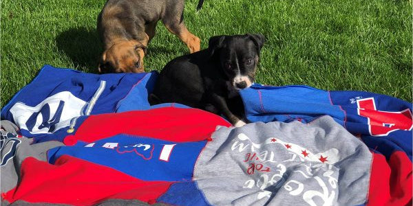 BERNINA & We All Sew Stitchin Heaven