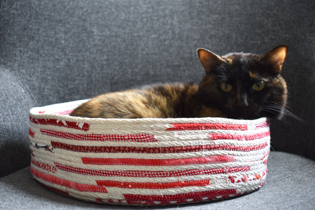 How to Make a Coiled Rope Cat Basket