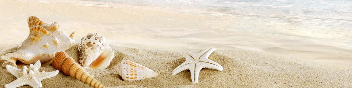 Previous Trips Stitchin Heaven