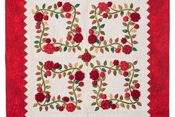 Appliqué and Ruching for Beginners