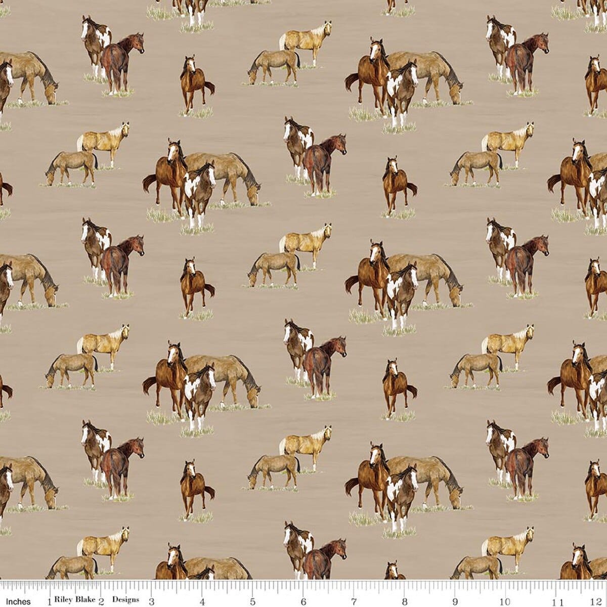 Horses Tan - The Homestead