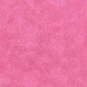 Dimples - French Fuchsia 1867-E18