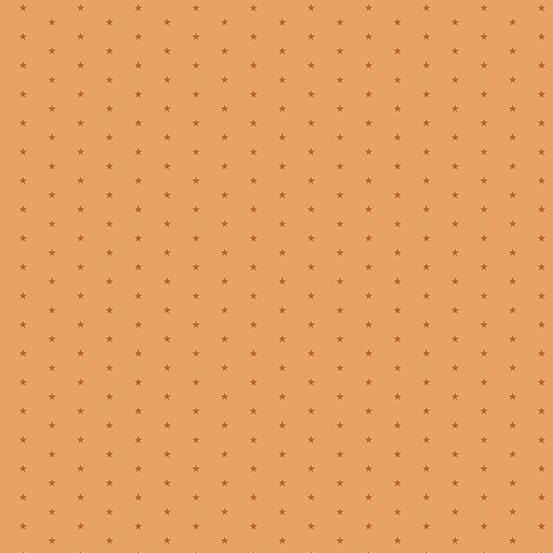 Twinkle - Coral A-1234-O1