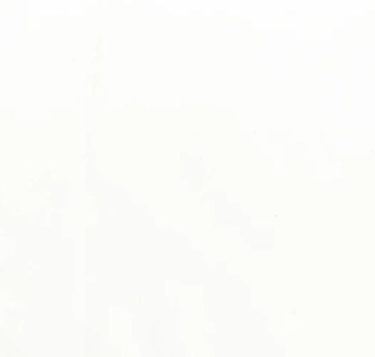 White Lava Solids 100Q-1046-WHITE
