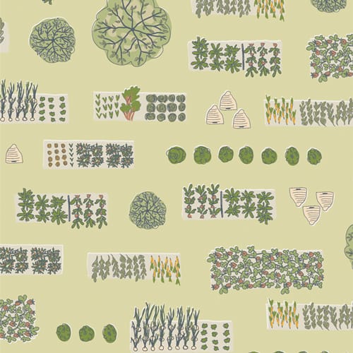 Bird's Eye View - Potager PTG33407