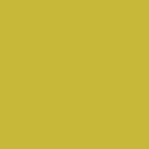 Pure Solids Cotton Fabric - Olive Oil (Art Gallery Fabrics) PE-515