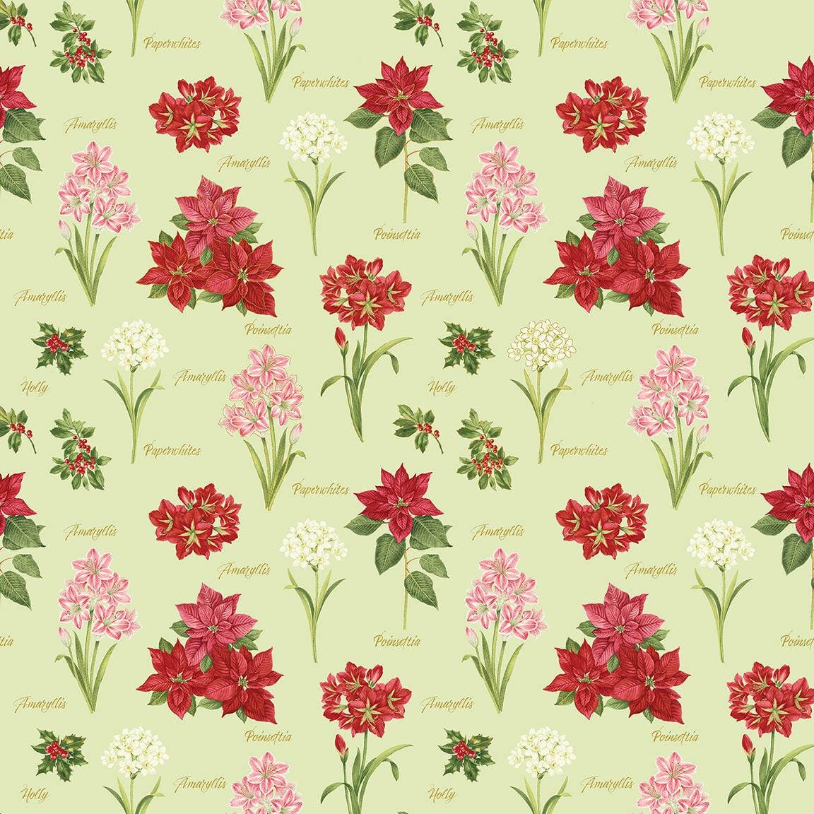 A Botanical Season - Winter Botanical Celery 13462M-40