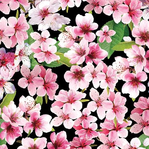 Cherry Hill - Cherry Blossoms Black 14313-12