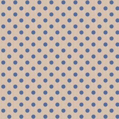 Creating Memories -  Polkadot Blue Woven TIL160071
