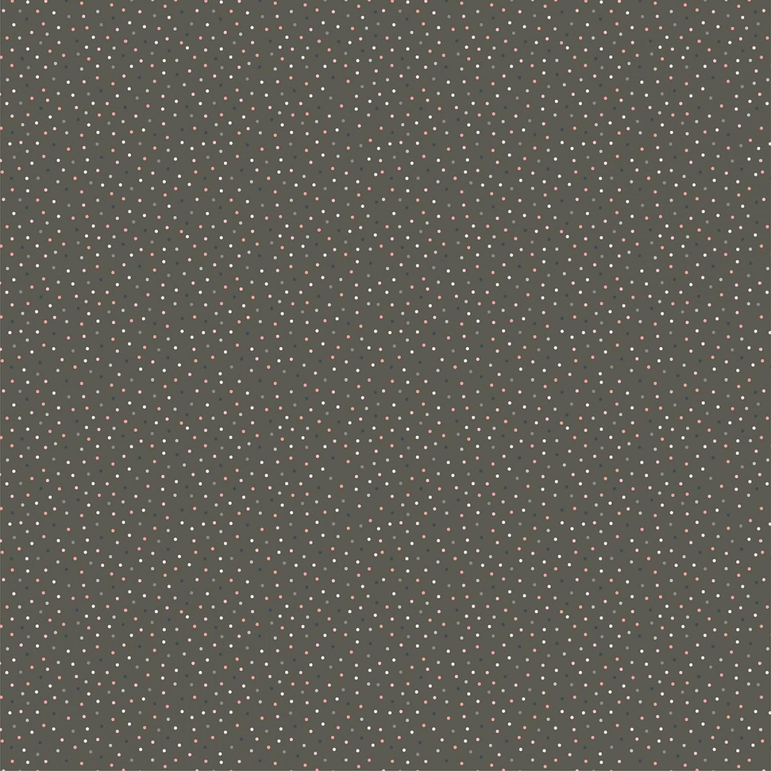 Farmhouse Favorites - Country Confetti Weathered Wood Grey CC20187