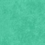 Shadowplay Vivid - Patina Green 513M-QG2