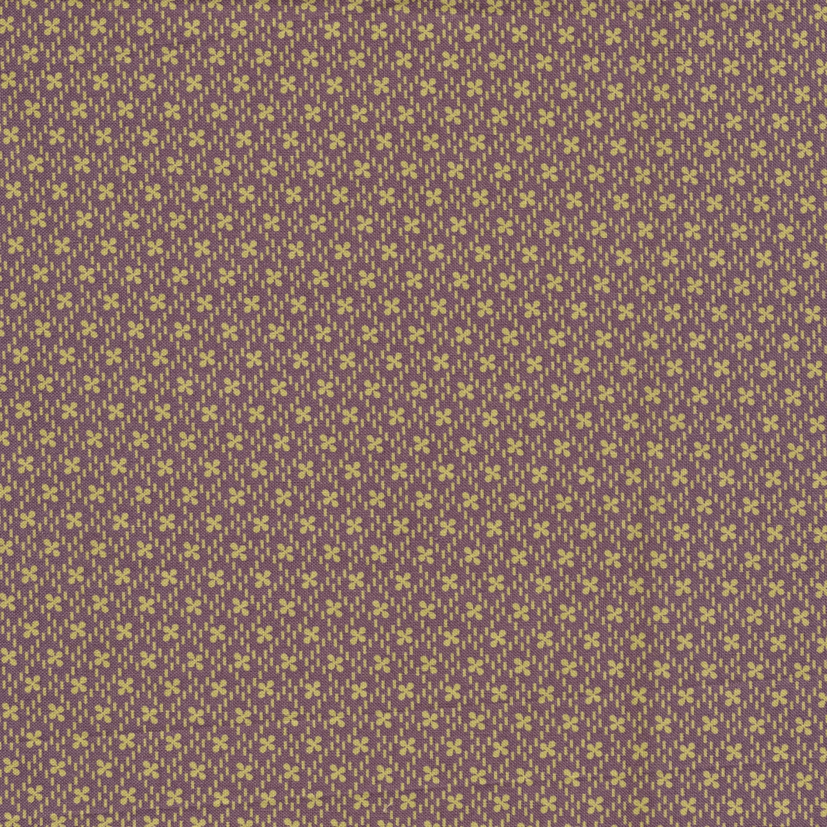 Purple Passion - Clover Purple ZD-77687-003