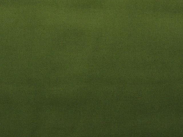 Supreme Solids -  Fern Green CD-10000-064