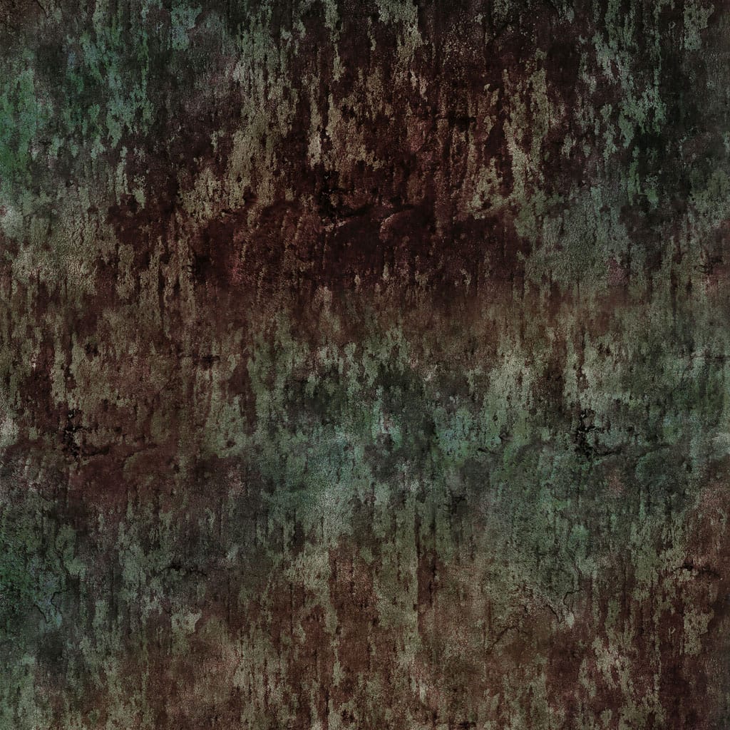 Digital Bark Forest - Nature Study Y4857-113