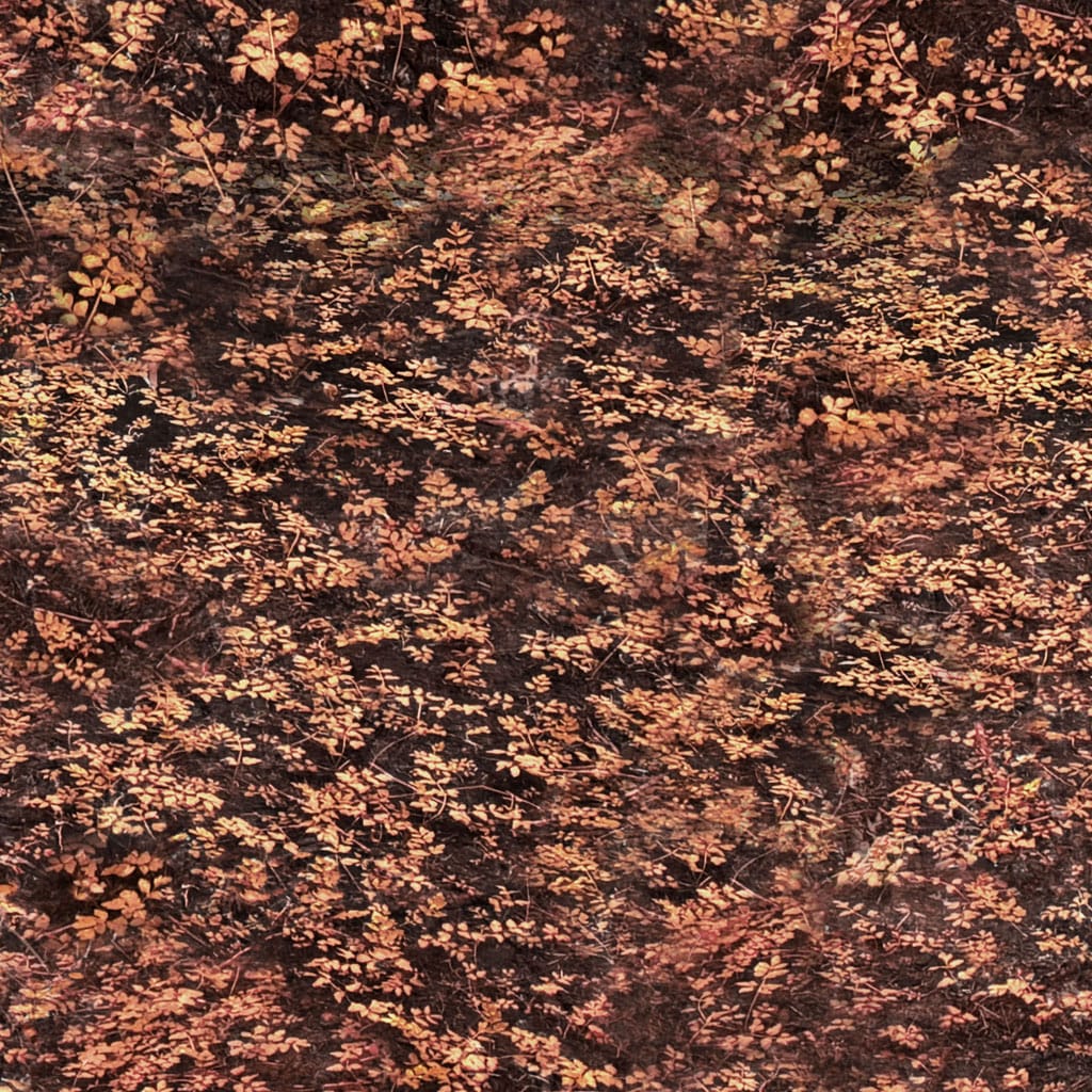 Digital Foliage Dark Rust - Nature Study Y4858-72
