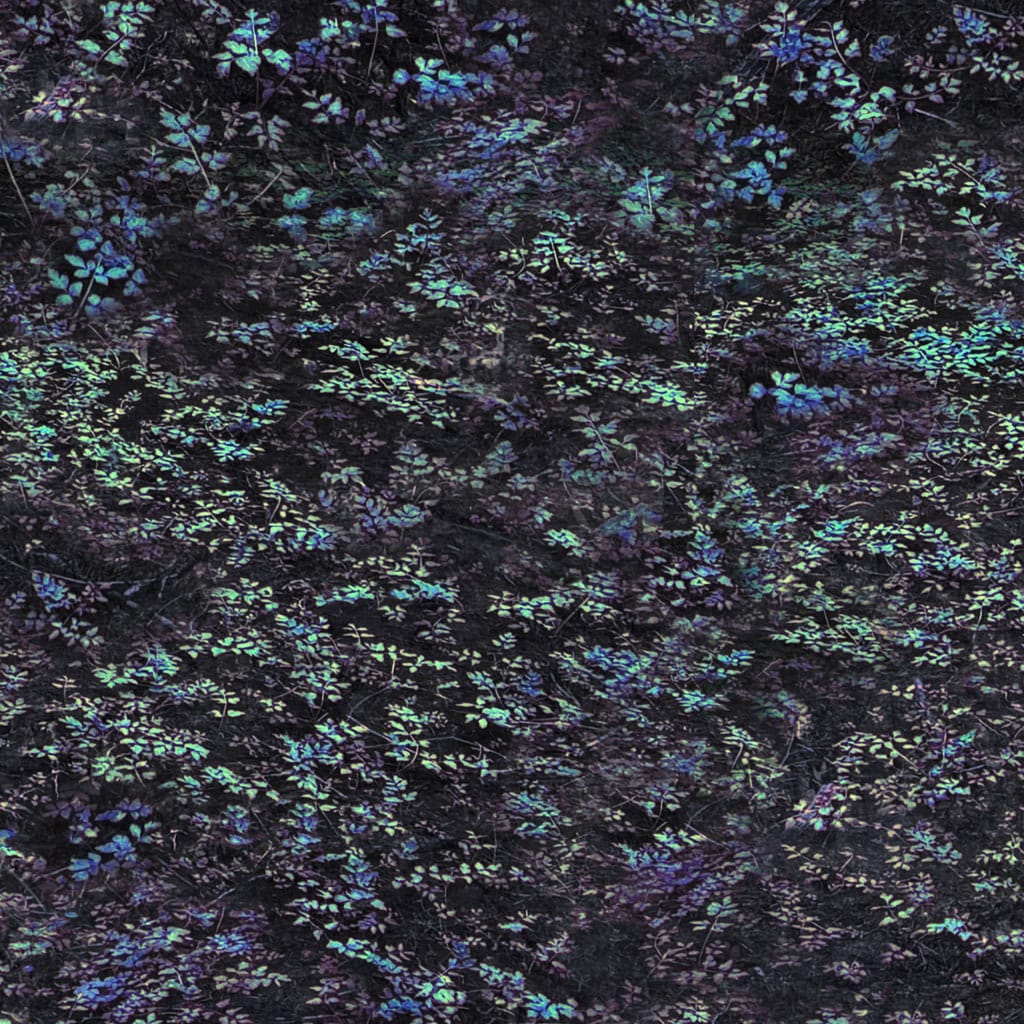 Digital Foliage Navy Blue - Nature Study Y4858-53