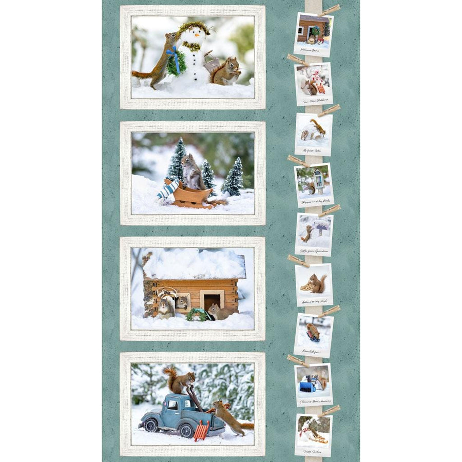 The Secret Life of Squirrels II - Placemat Panel Y4217-104