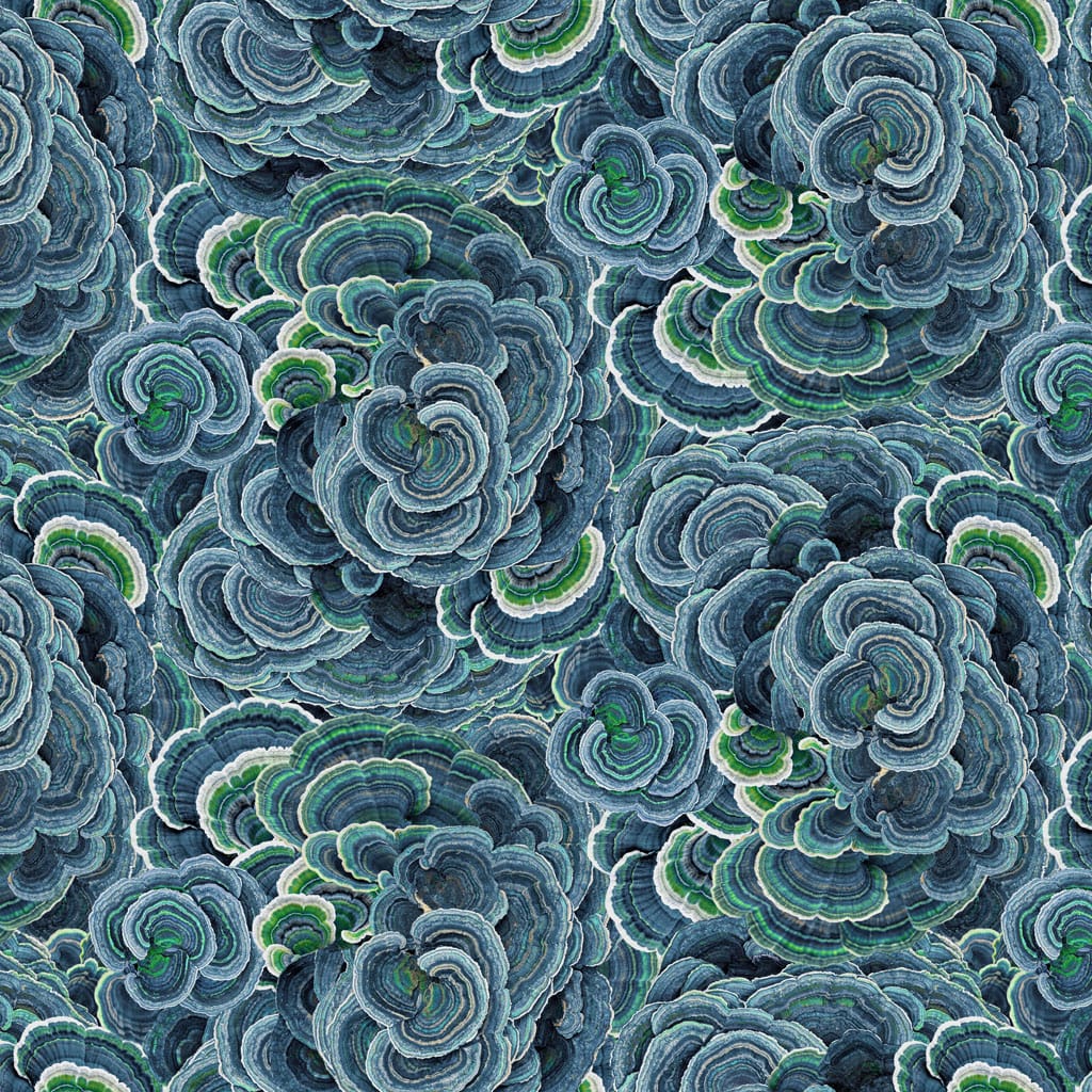 Turkey Tail Denim - Nature Study Y4856-88