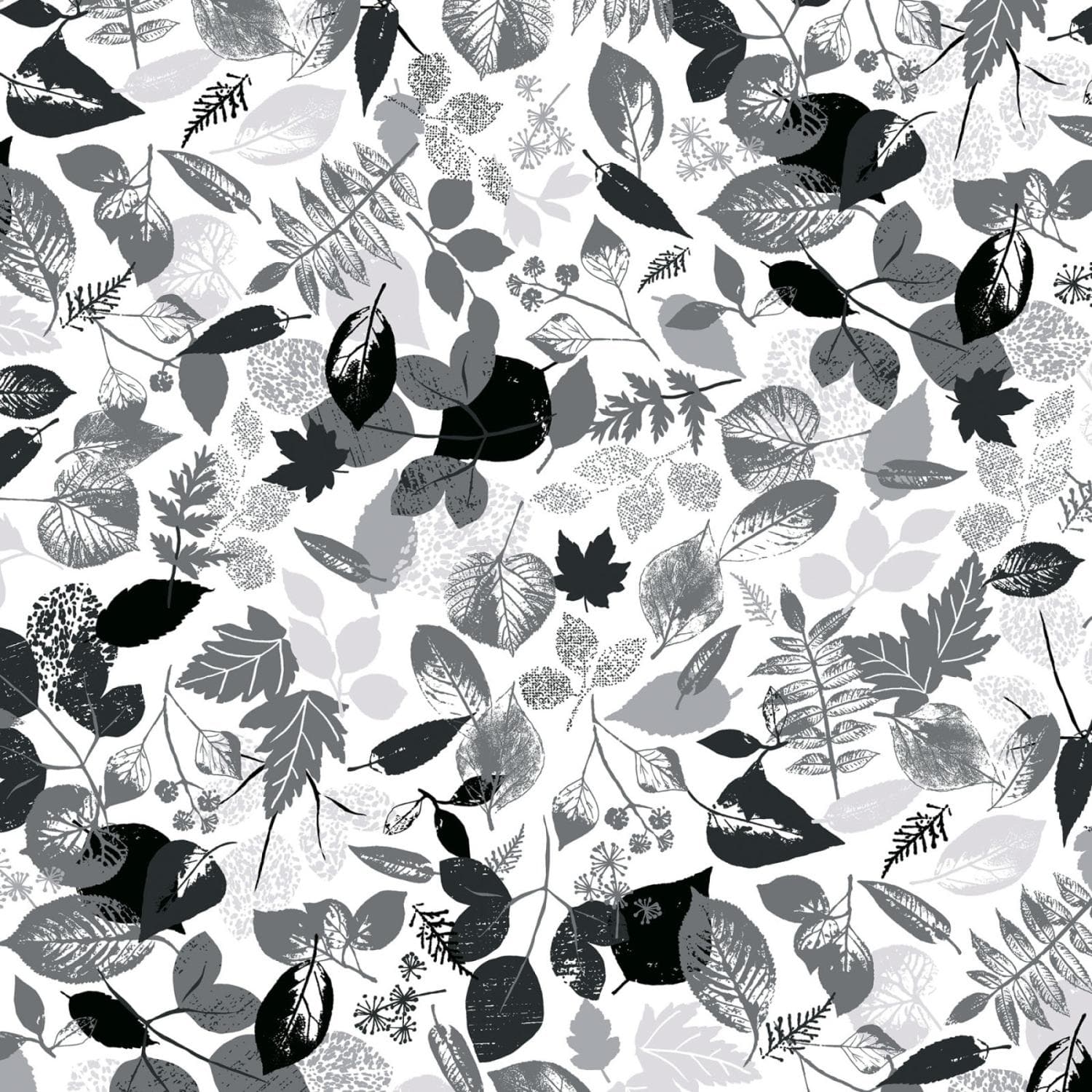 Great Outdoors - Falling Leave Black/White KAS12940-09