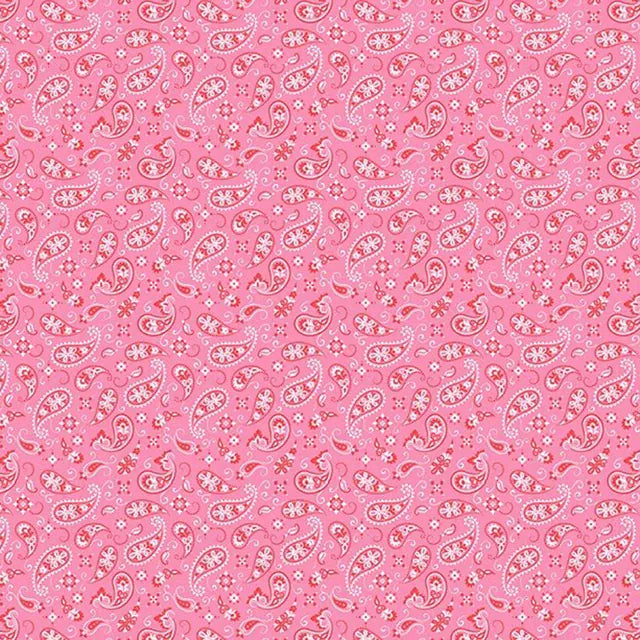 Paisley Pink - Go Cowgirl! IBF7GC-1