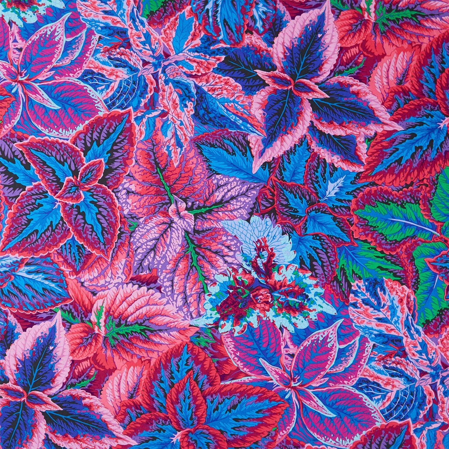 August 2025 Cotton Fabric - Bold Leaves Blue (FreeSpirit) PWPJ132.BLUE