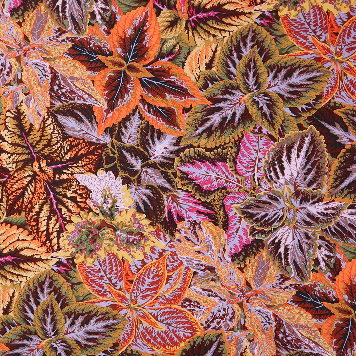 August 2025 Cotton Fabric - Bold Leaves Brown (FreeSpirit) PWPJ132.BROWN