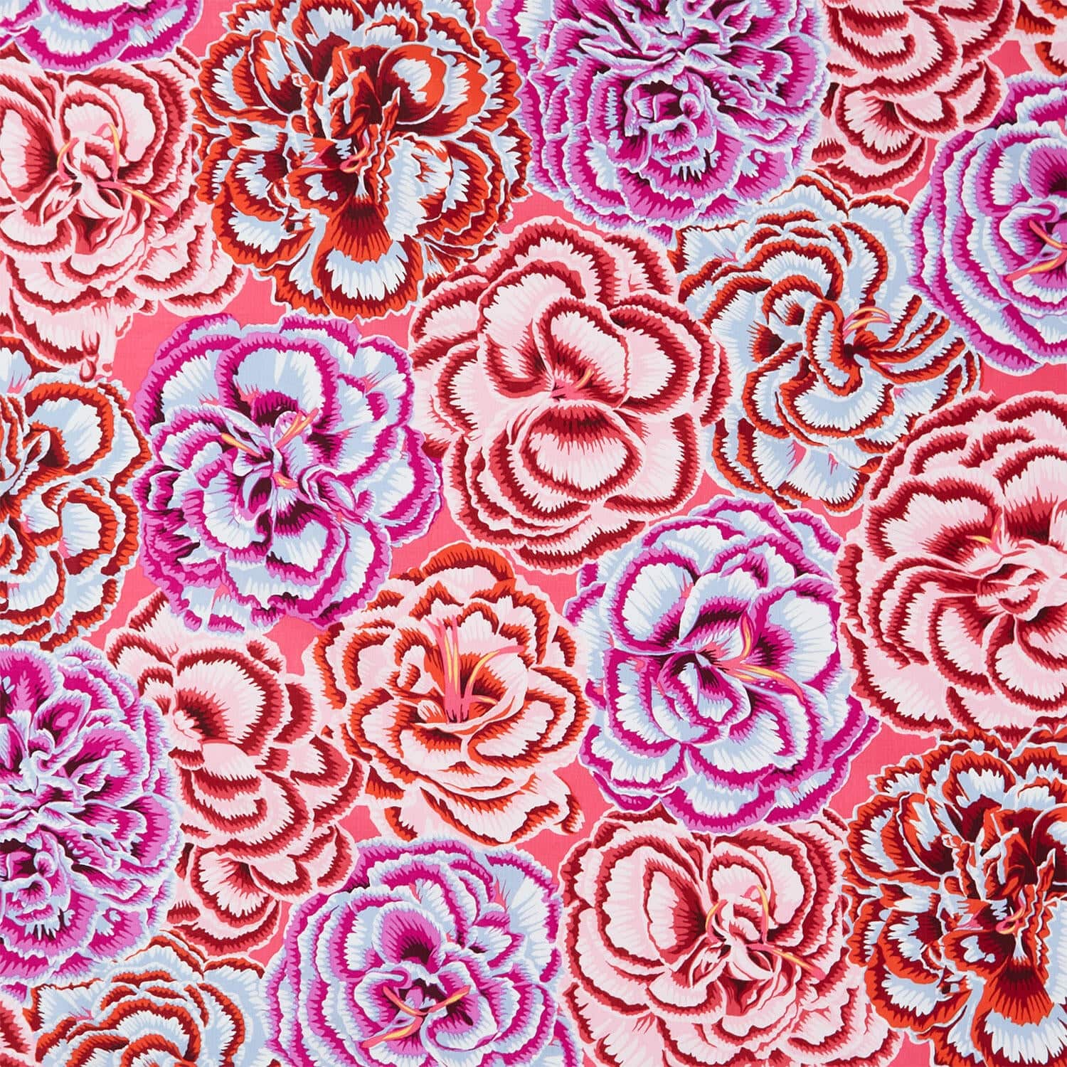 August 2025 Cotton Fabric - Picotee Carnations Pink (FreeSpirit) PWPJ133.PINK
