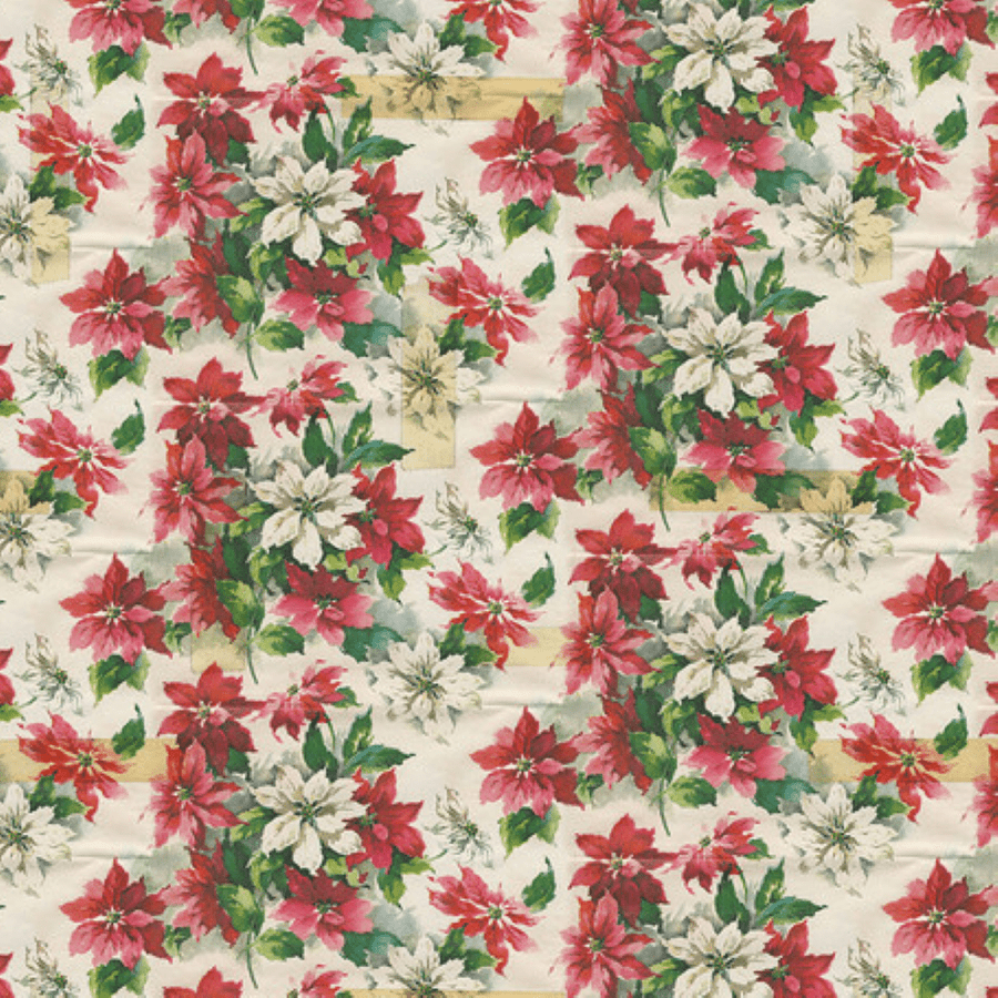 Holidays Past - Poinssettia Print Multi PWTH201.MULTI