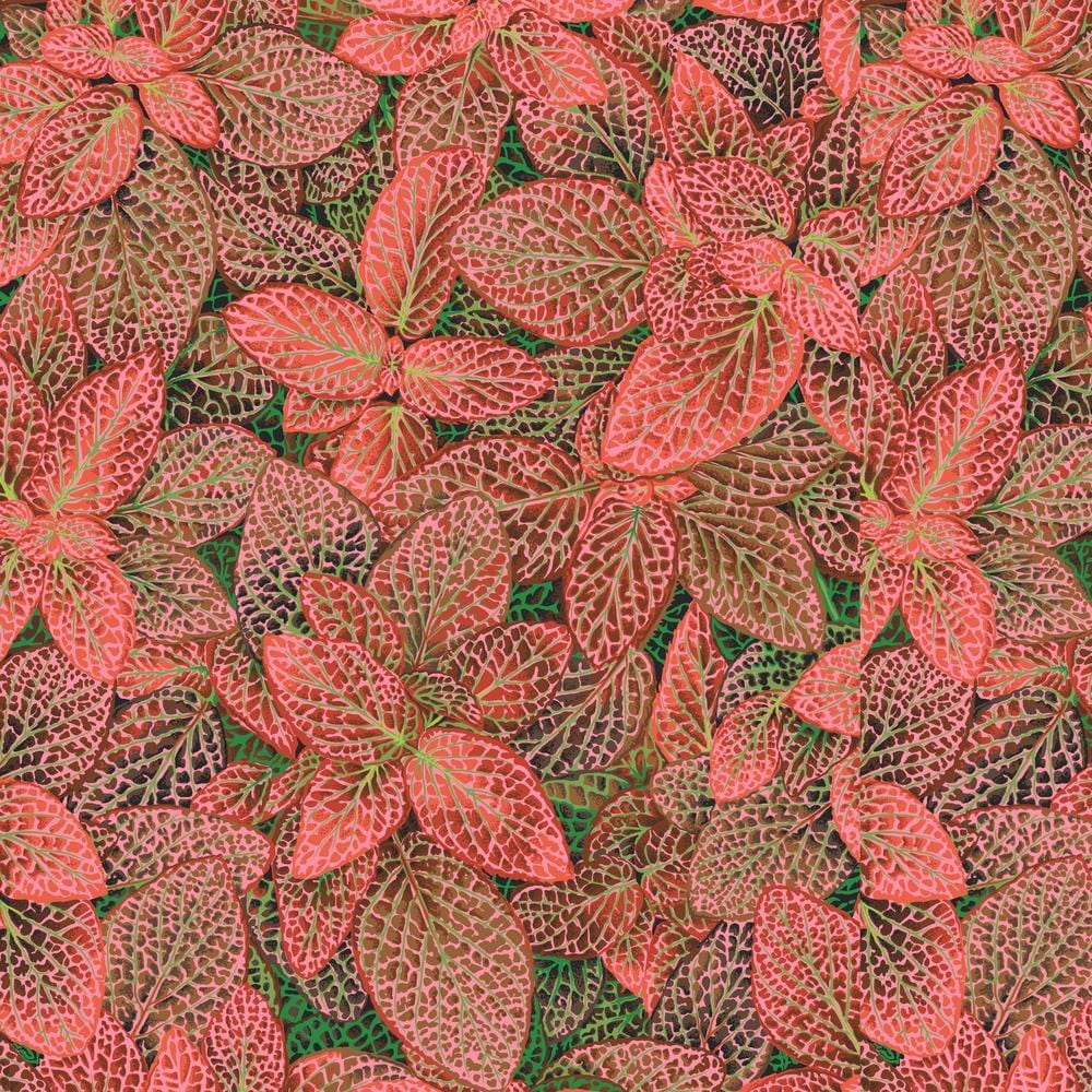 Kaffe Fassett Collective August 2024 - Fittonia Red PWPJ129.RED