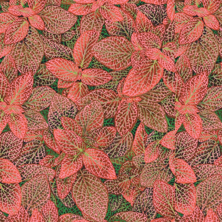 Kaffe Fassett Collective August 2024 - Fittonia Red PWPJ129.RED