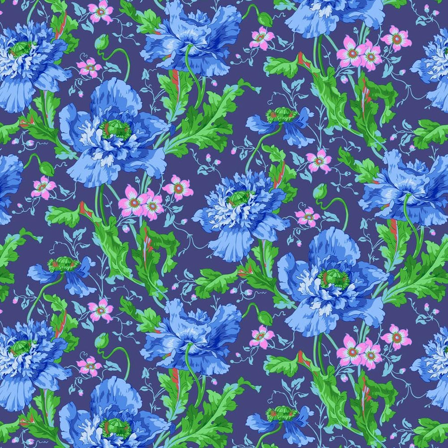 Kaffe Fassett Collective August 2024 - Papaver Blue PWPJ127.BLUE