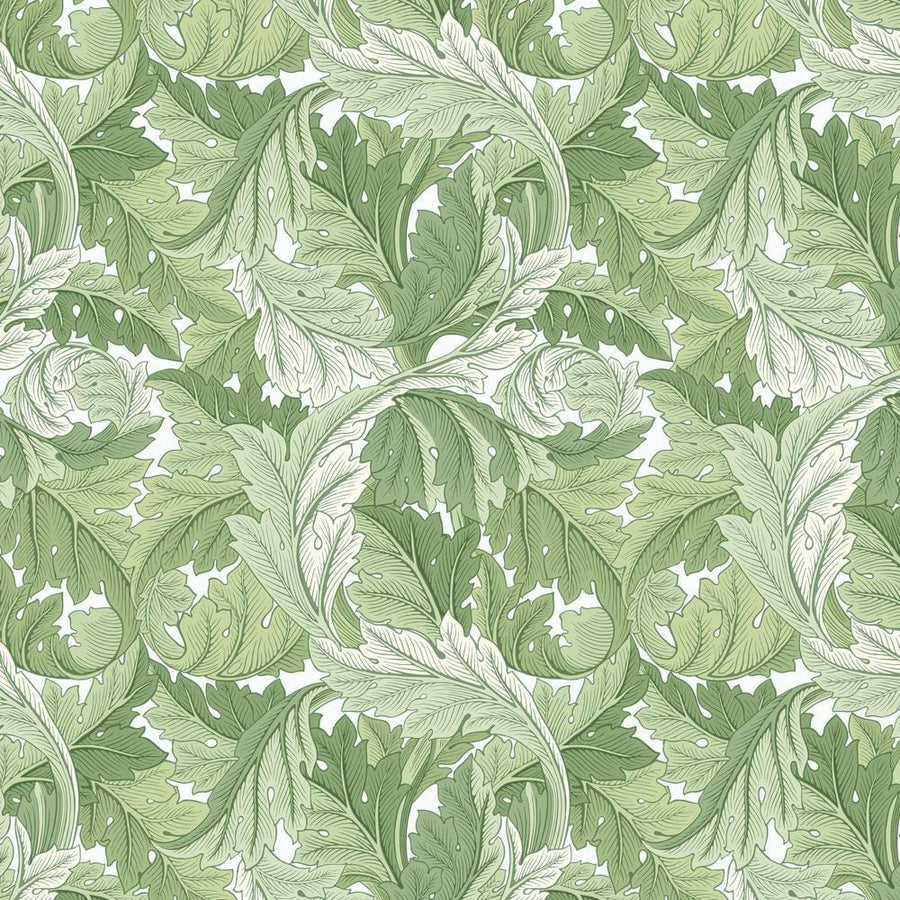 Leicester - Acanthus Green PWWM027.GREEN