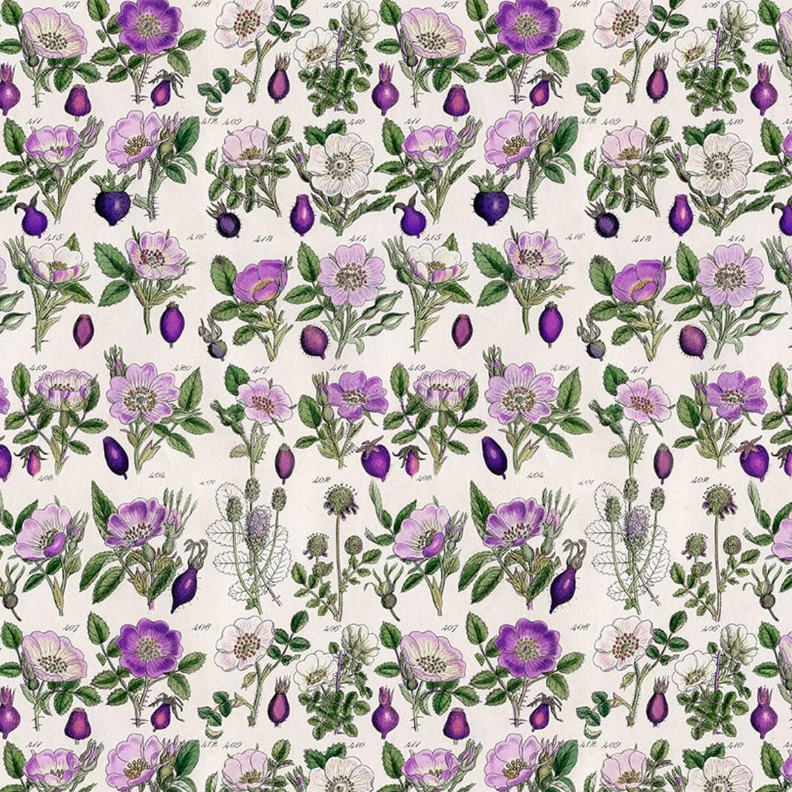 Palette Purple - Purple Botanical PWTH306.PURPLE