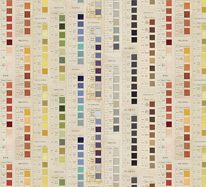 Pallette Multi - Multi Palettes Swatches PWTH328.MULTI