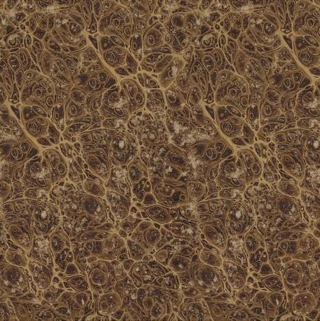 Tim Holtz Neutral Palette - Neutral Marble PWTH259.NEUTRAL