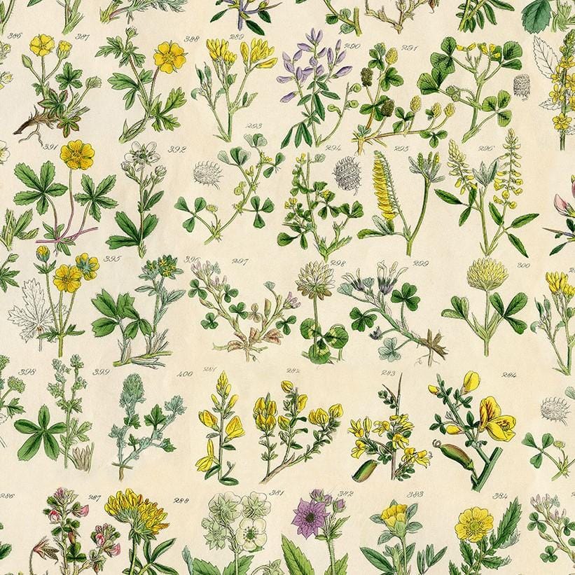 Tim Holtz Palette Yellow - Yellow Botanical PWTH245.YELLOW
