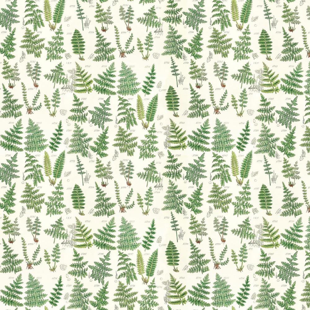 Tim Holtz Palettes Green - Ferns PWTH265.GREEN