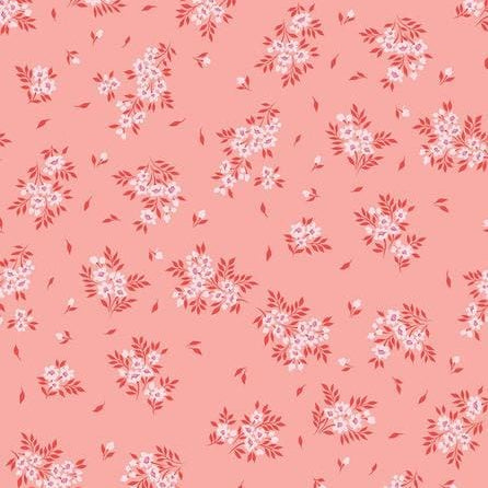 What a Ditz - Peachykeen PWTP253.PEACHYK
