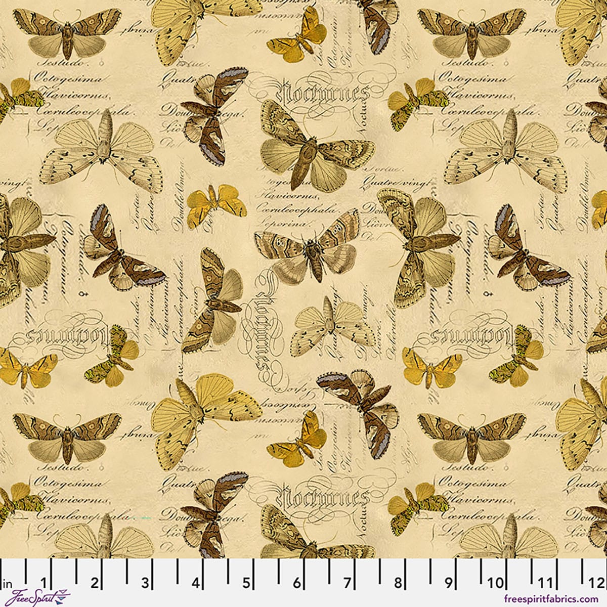 Yellow Specimen - Palette Curated PWTH244.CYELLOW