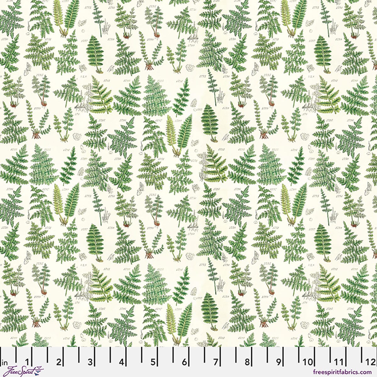 Green Ferns - Palette Curated PWTH265.CGREEN