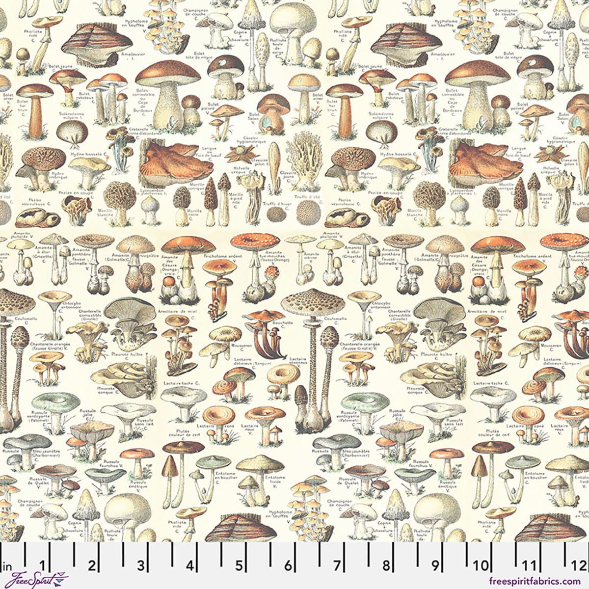 Orange Toadstools - Palette Curated PWTH236.CORANGE